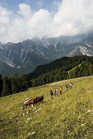 Trekking in Carnia